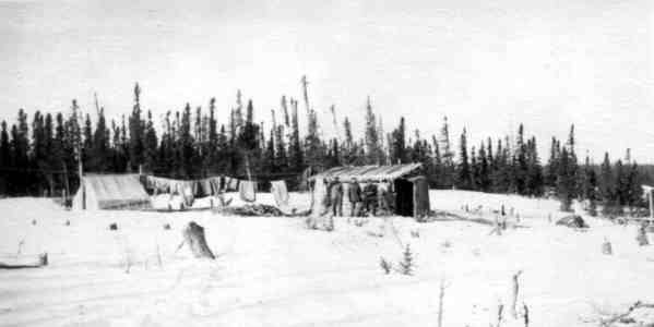 Northern Camp Site